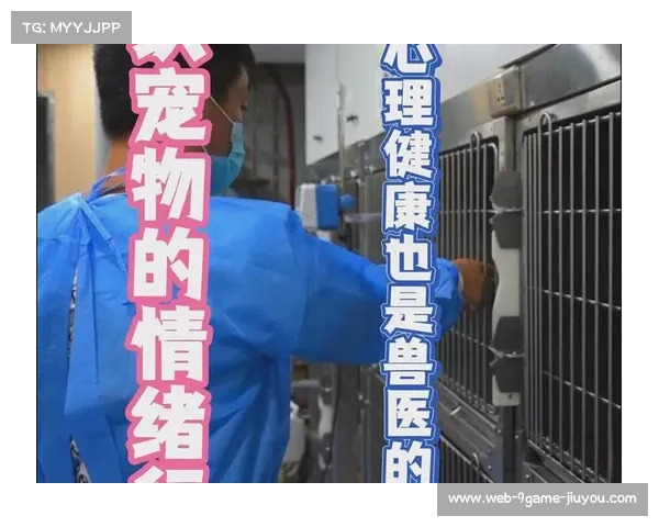 球员宠物随行指南发布情绪支持犬检疫流程标准化实施方案